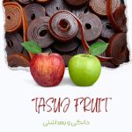 لواشک خانگی سیب